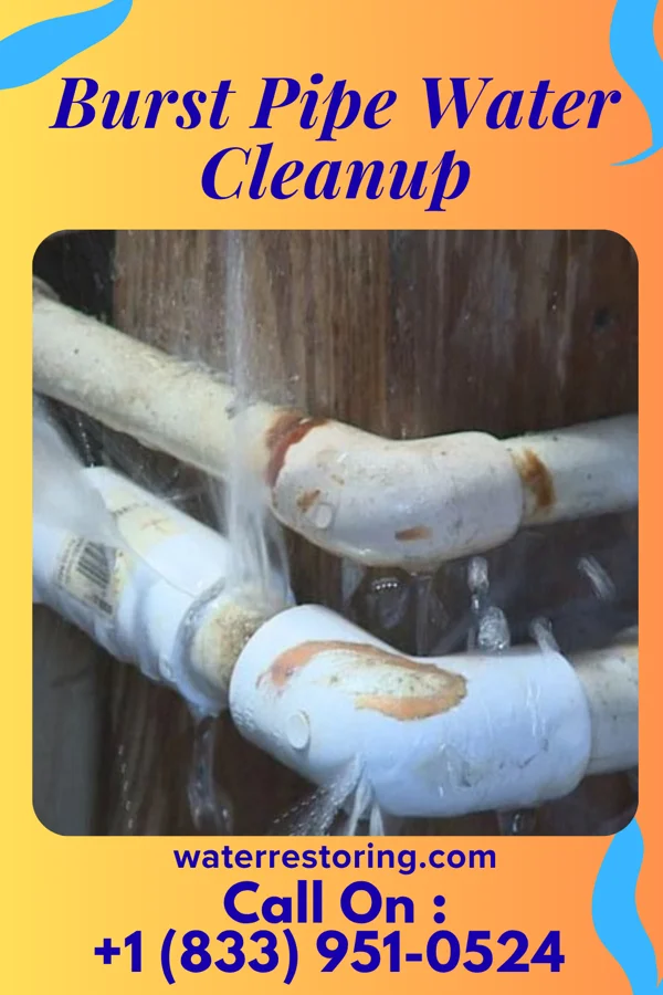 Burst Pipe Water Cleanup in Wapella, IL