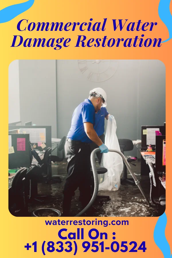 Commercial Water Damage Restoration in Wapella, IL