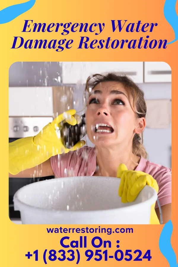 Emergency Water Damage Restoration in Wapella, IL