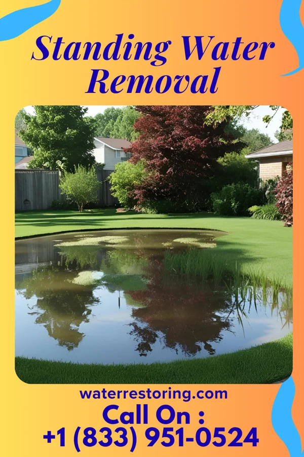Standing Water Removal in Wapella, IL